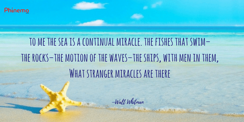 15 Caption Instagram Untuk Foto Liburan di Pantai