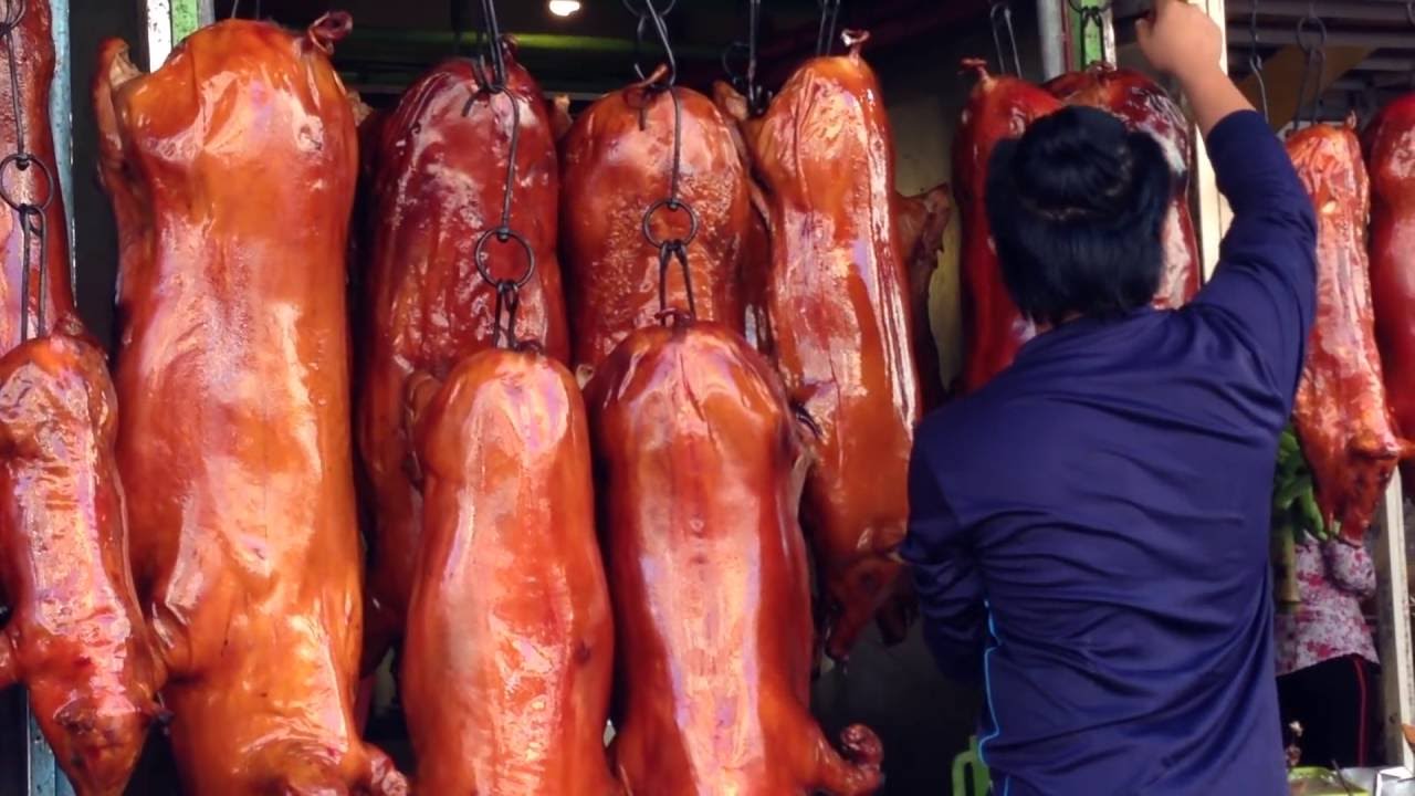 Babi Dalam Bahasa Inggeris malaykiews