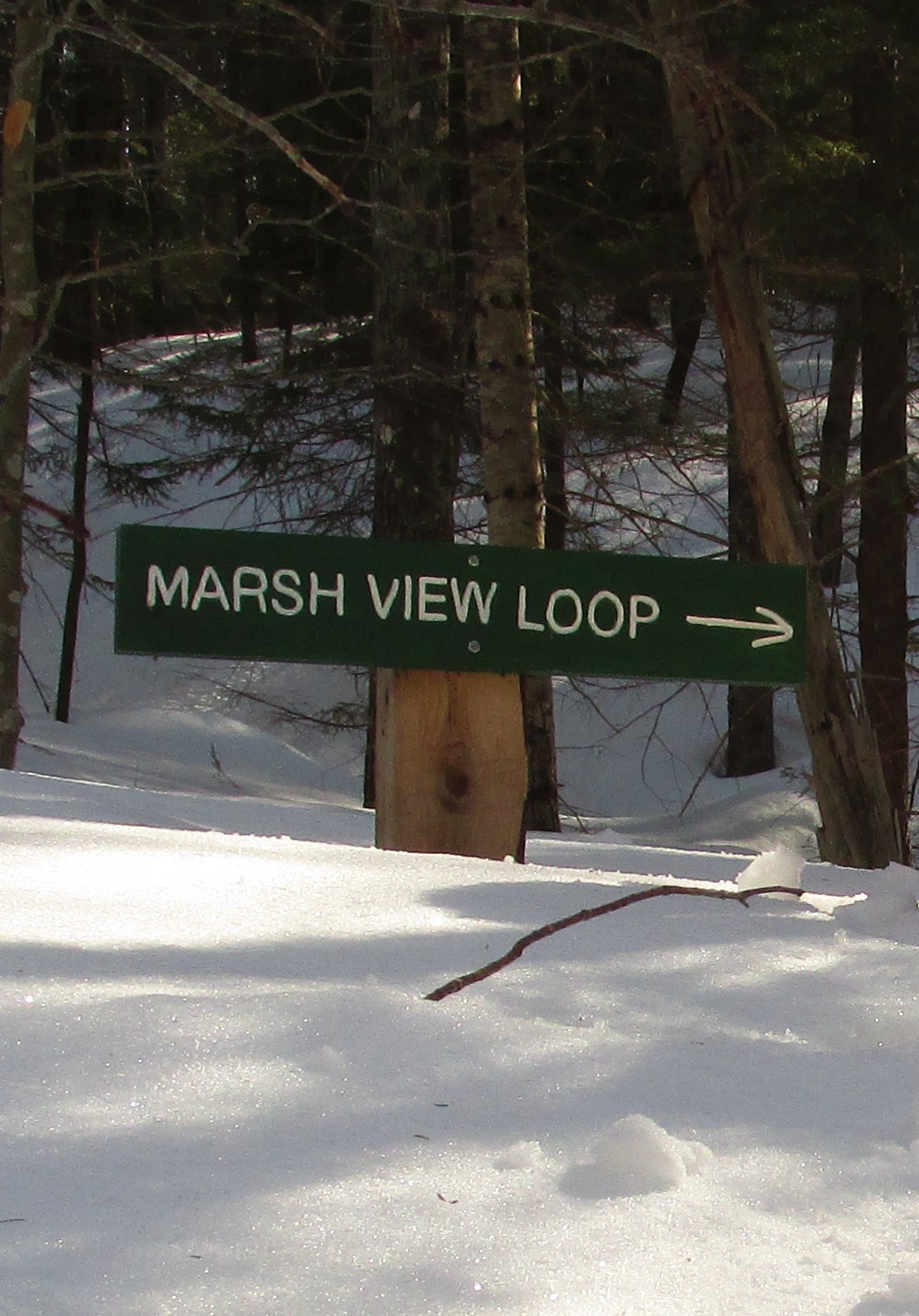 Marsh Loop Sign Phippsburg Land Trust