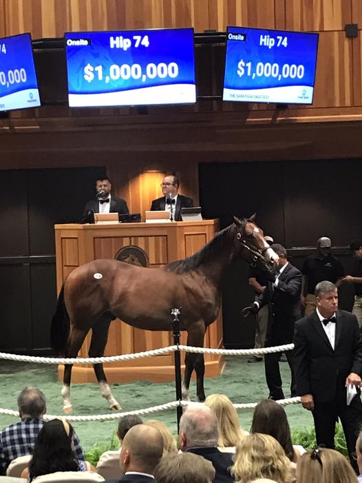 Strong Saratoga Sale Results for Yearlings from Phipps Families