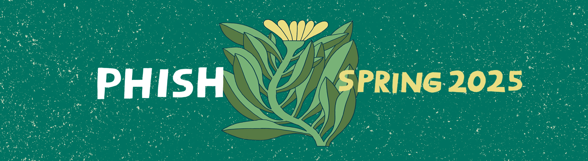 Phish 2025 Spring Tour Announced Phish