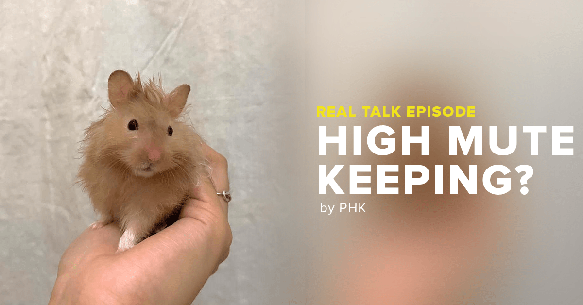 Philippine Hamster Keepers Promoting proper hamster care in the