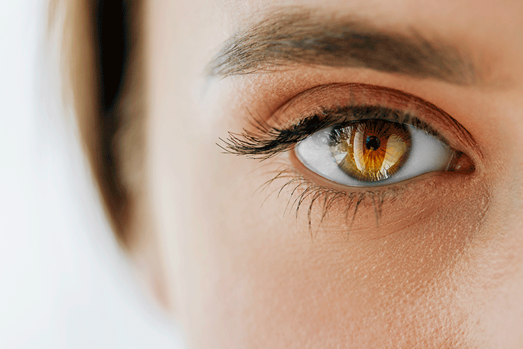 Amazing Eyes Action PHLEARN