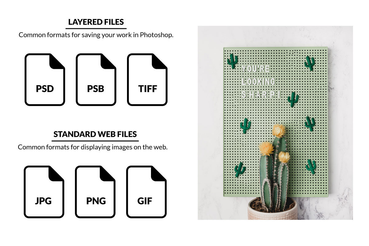 Image File Formats in Explained