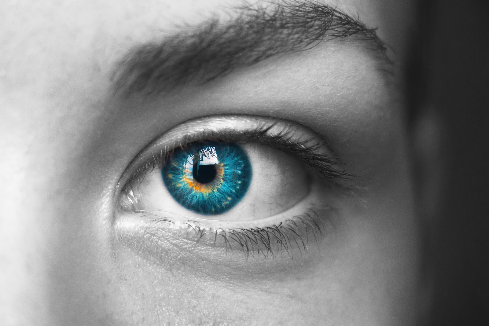 Black And White Photography With Color