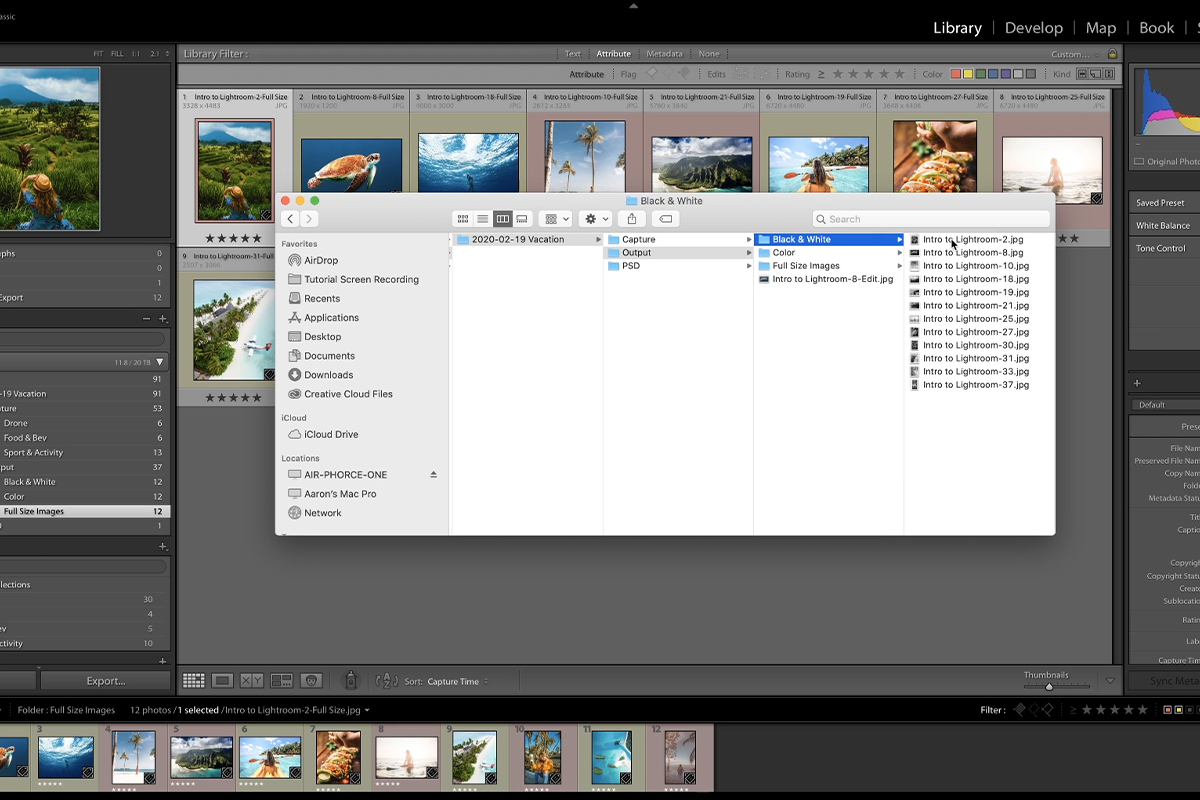 How to Export Photos in Lightroom Classic PHLEARN