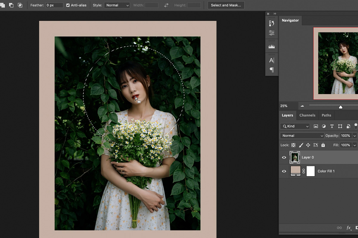 Shape Mask Color Mask Model