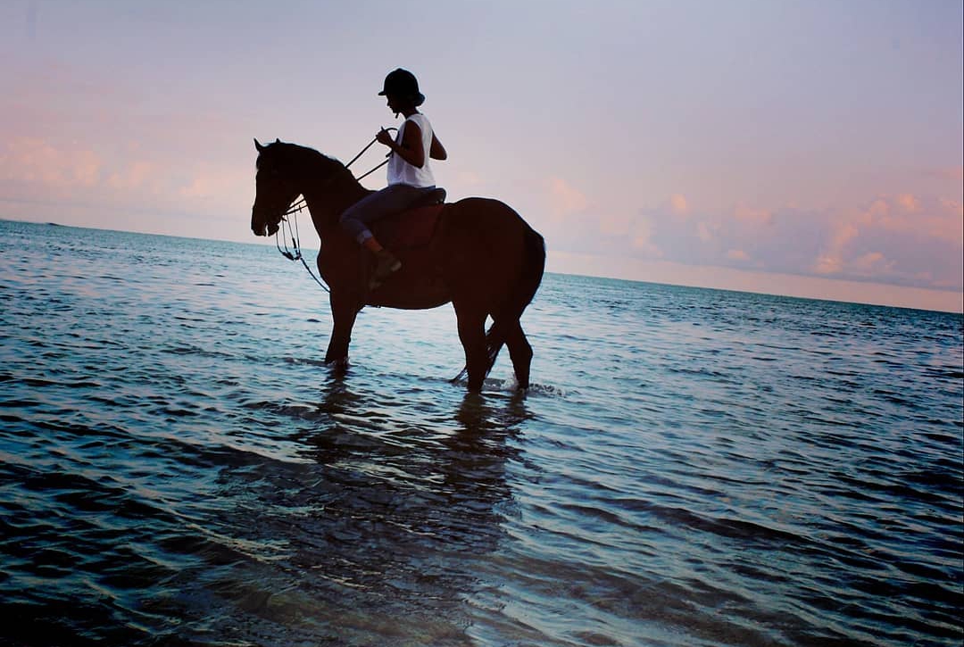 Horse Riding in Mauritius Prestige Holidays Mauritius