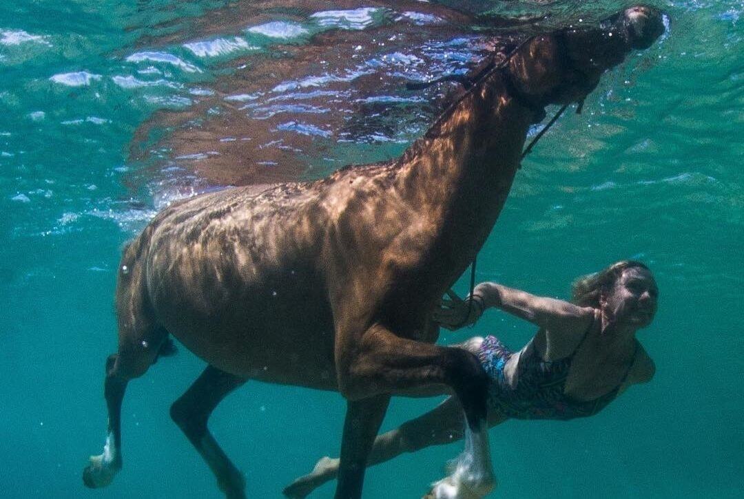 Horse Riding in Mauritius Prestige Holidays Mauritius