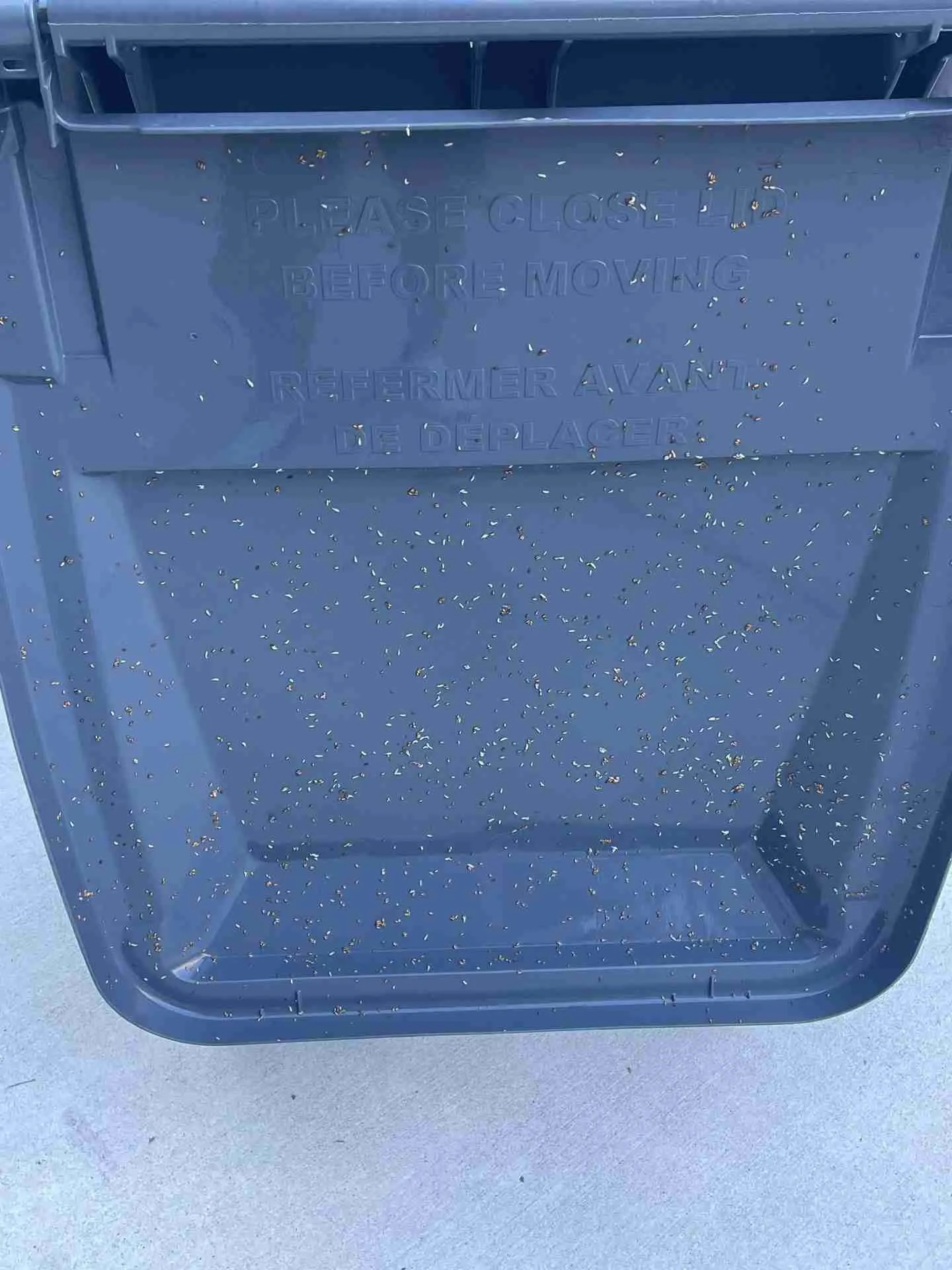 Trash Bin Cleaning Pressure Washing Service Charlotte