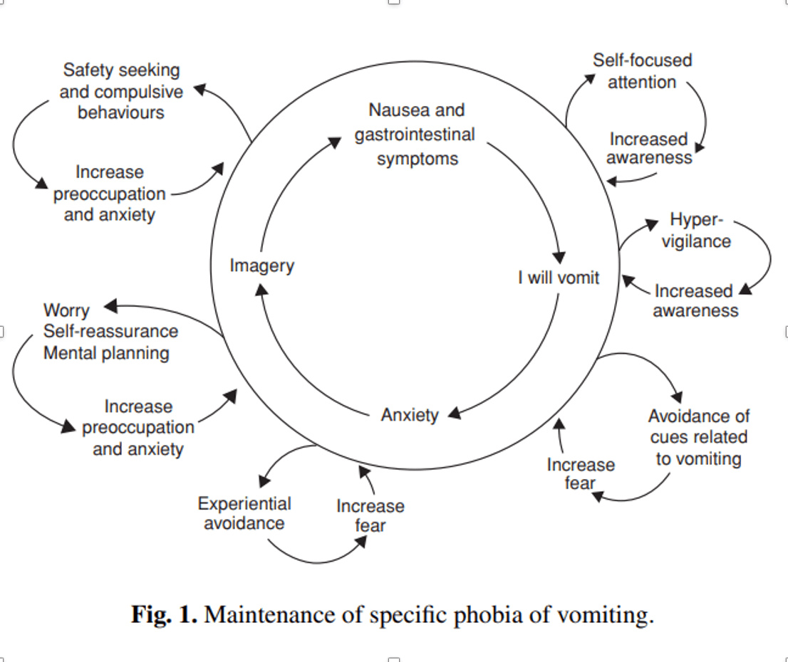 Vomiting Phobia Treatment The Phobia Solution