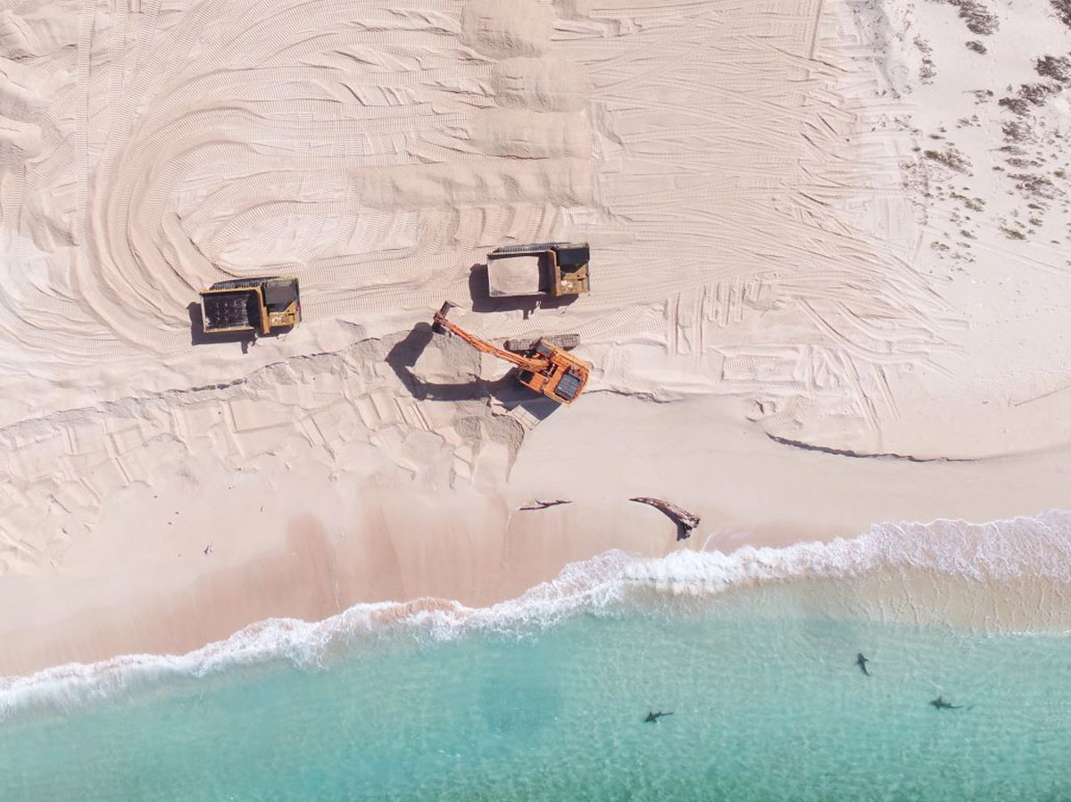 Raine Island Recovery Project Phoenix Contracting QLD