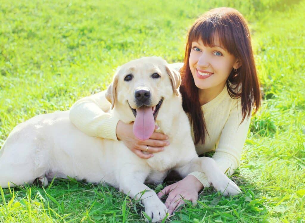 Dog Training Phoenix Certified Professional Dog Trainers in Phoenix Az