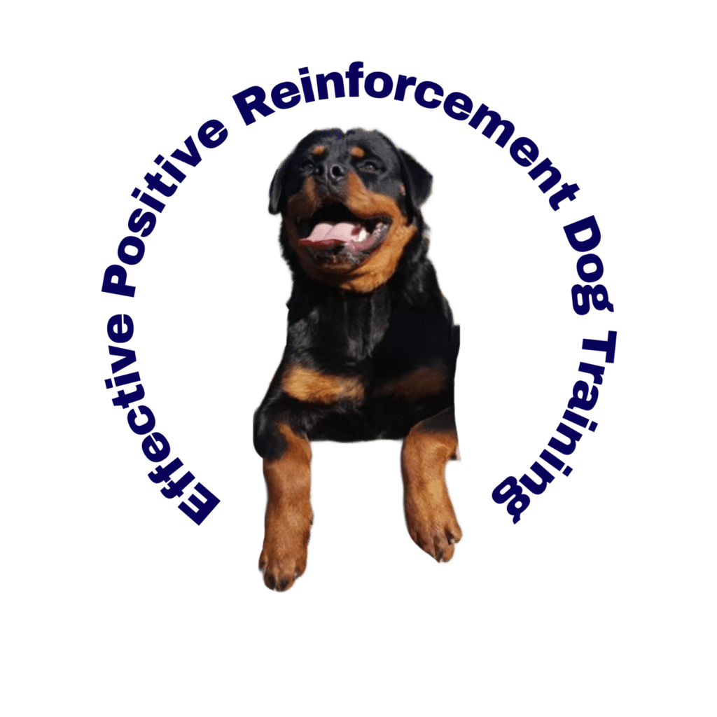 Dog Training in Phoenix, AZ Certified Dog Trainers in Phoenix