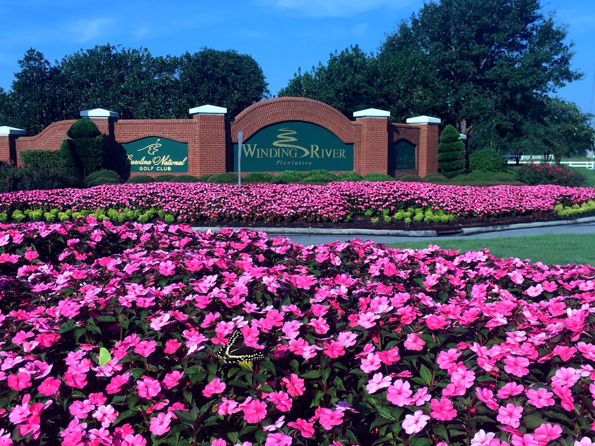 Floriculture Phoenix Landscape