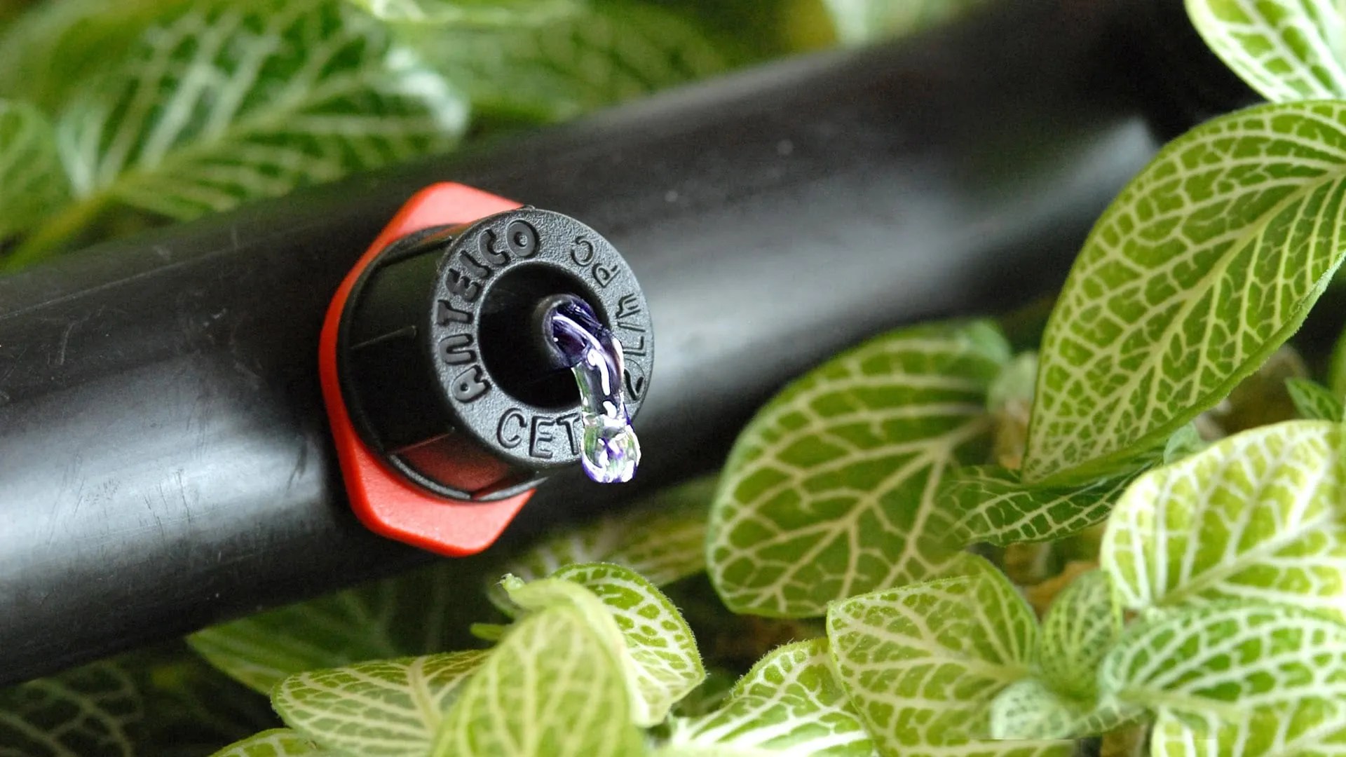 Drip Irrigation Phoenix Landscapes Midland MI