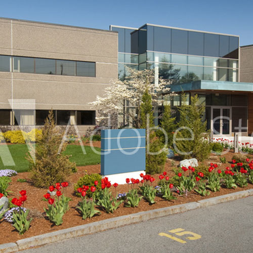 Home Phoenix Landscaping Inc