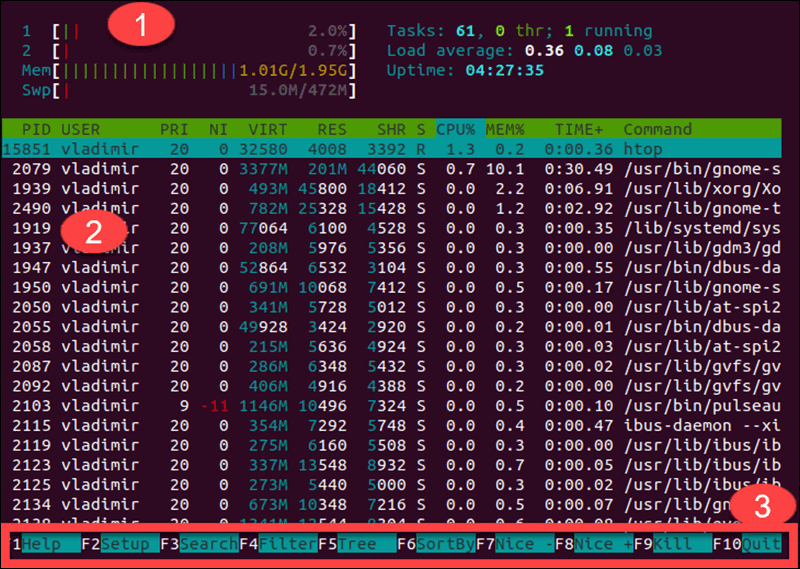 5 Commands to Check Memory Usage in Linux {Easy Way}
