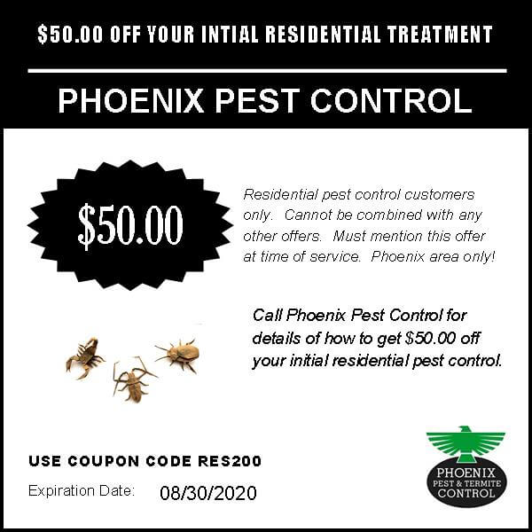 50 Off Pest Control Phoenix Pest Control, Termite Treatment Phoenix AZ
