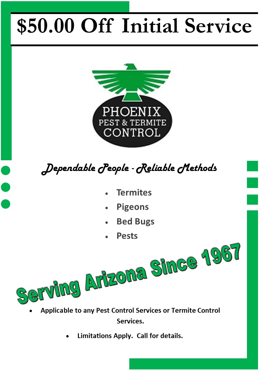 Residential Pest Control Phoenix Termite Treatment Phoenix AZ