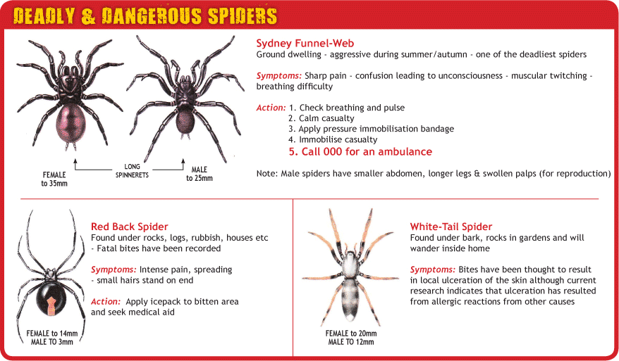 Phoenix Pest Management