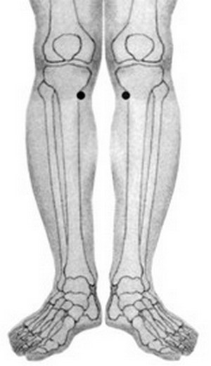 Spleen 9 - Acupuncture Point - Phoenix Rises Acupuncture