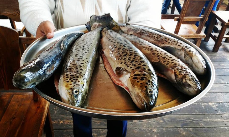 Ishkhan The Most Popular Armenian Freshwater Fish Phoenix Tour Armenia