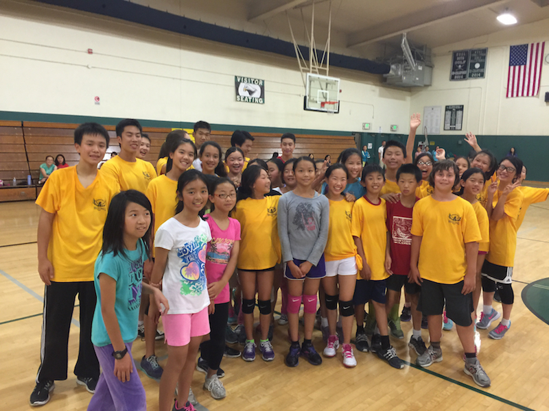 Phoenix Volleyball School