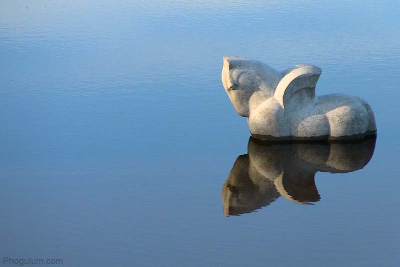 Pegasus in Water · Phogulum