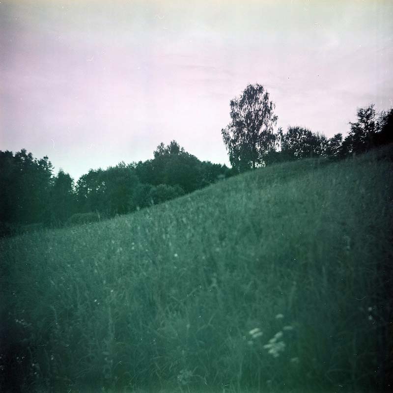 Black & White in Color · Phogulum