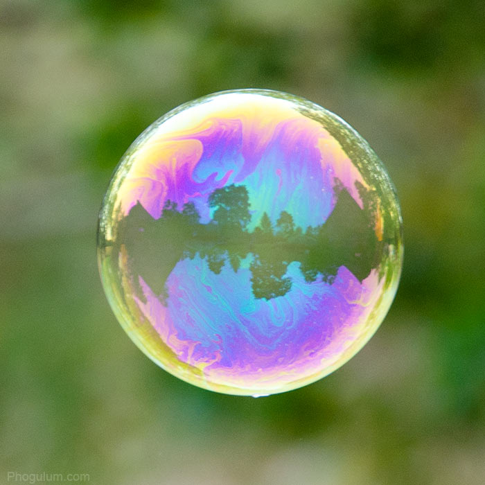 Bubble · Phogulum