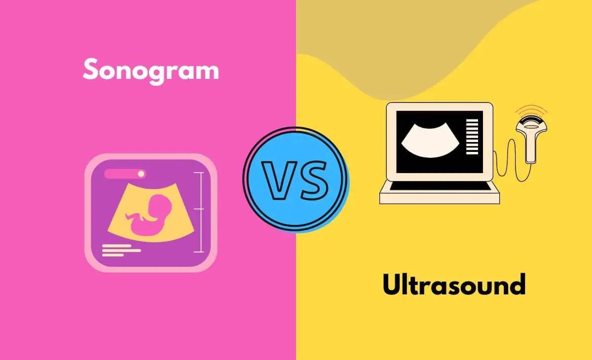 Ultrasound vs. Sonogram Deciphering the Differences