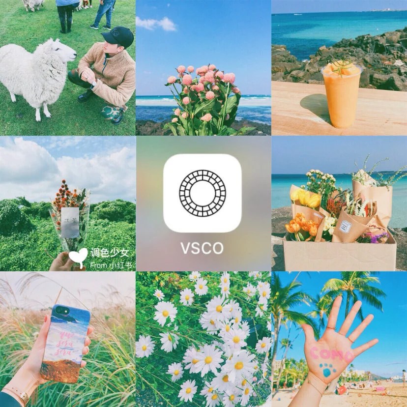 VSCO Filters Your Photos Like a Pro
