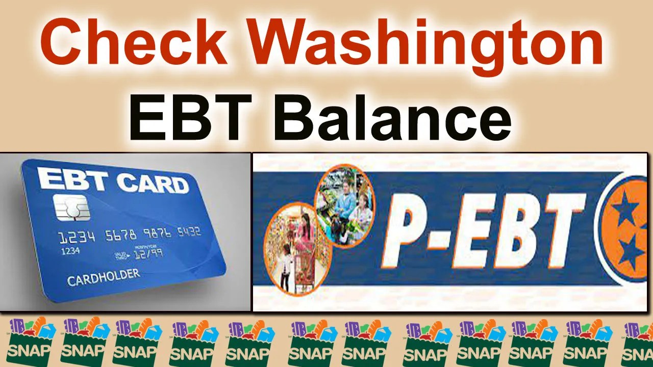 Snap Benefits Update, Stay Informed and Check Your Status Today