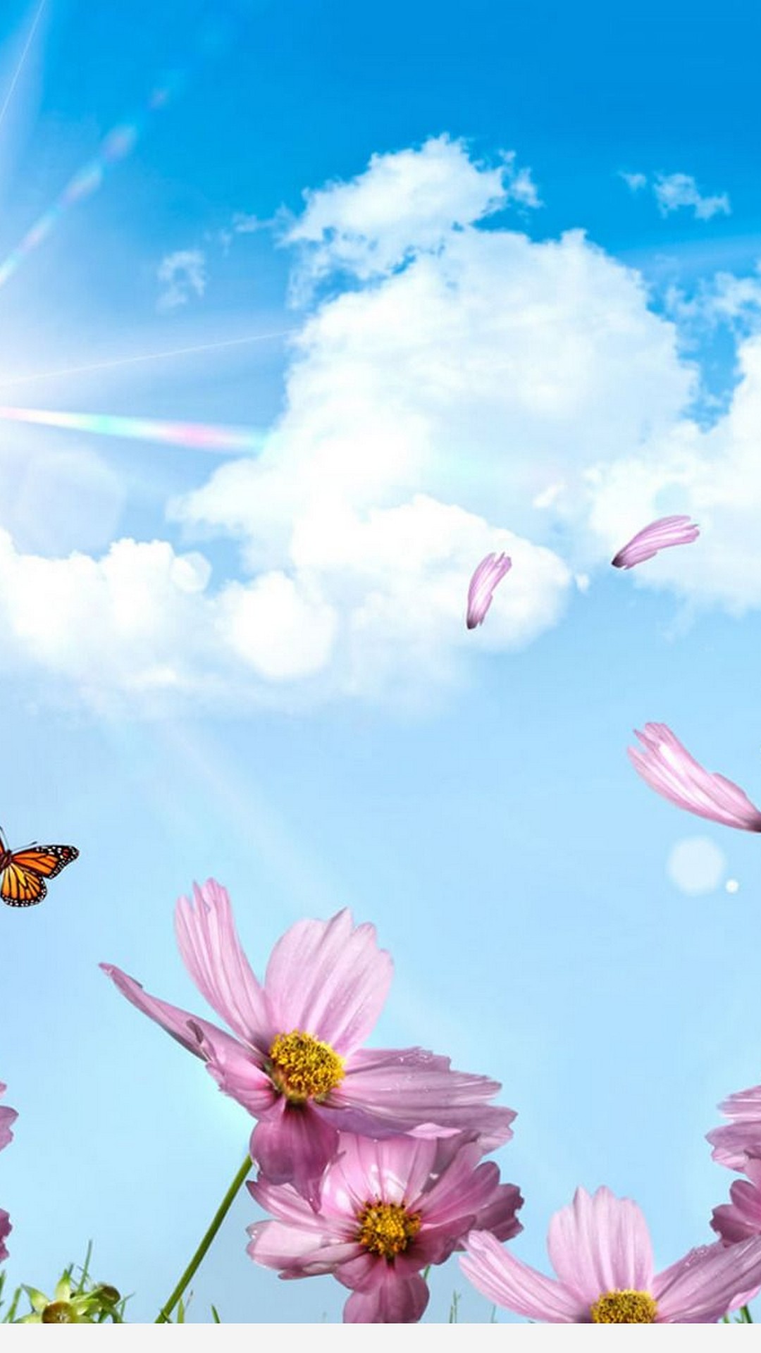 Spring Phone Wallpaper 2021 Phone Wallpaper HD