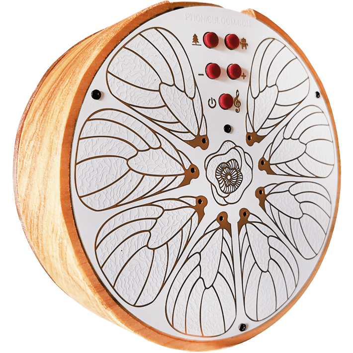 Wing Drum PhonicBloom