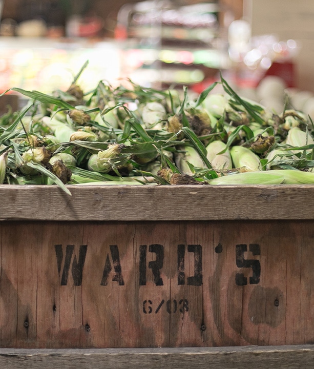 Inbound Marketing PHOS Creative