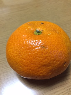 image1_36.JPG