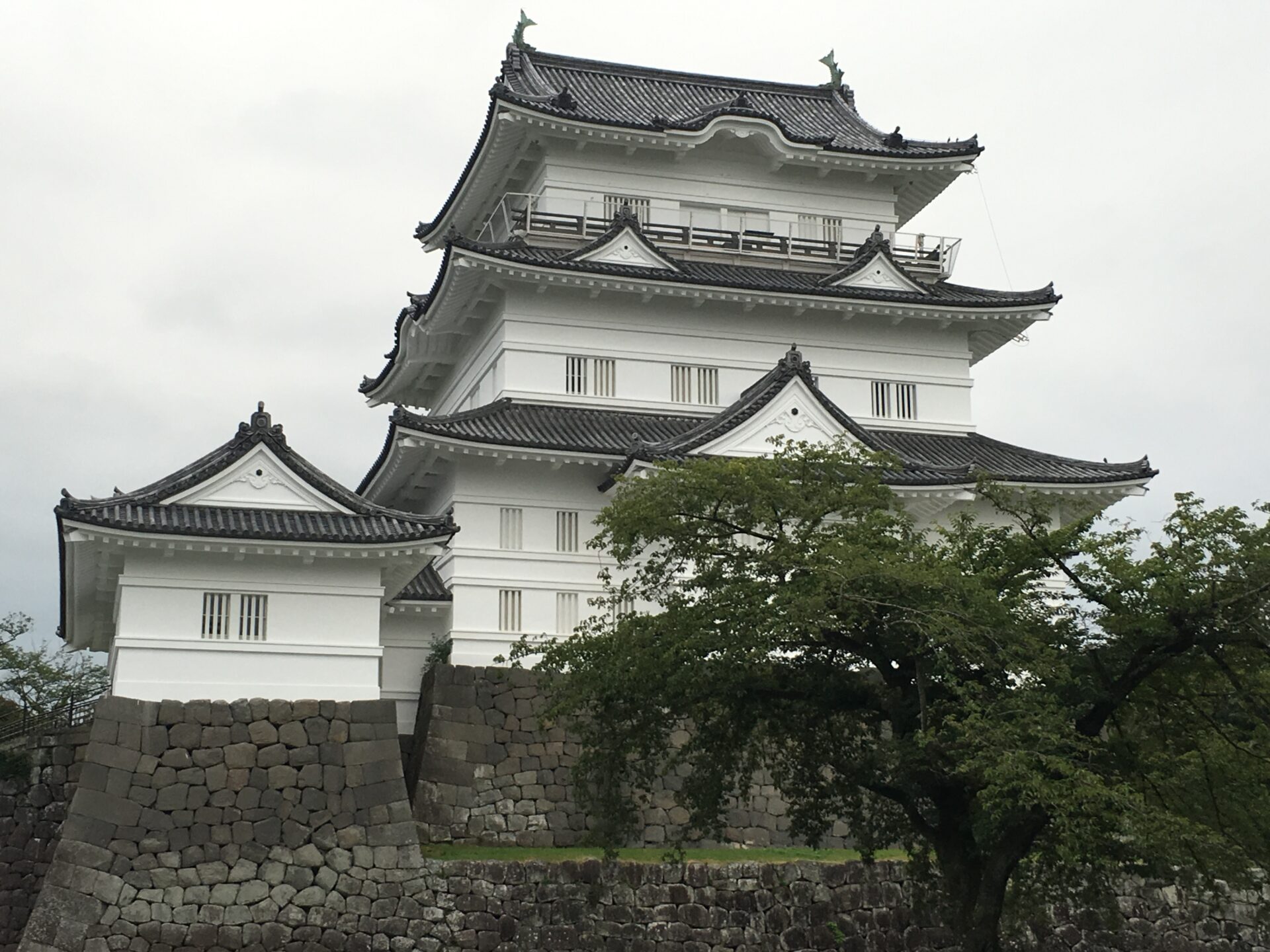 image1_45.JPG