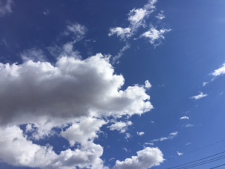 image1_52.JPG