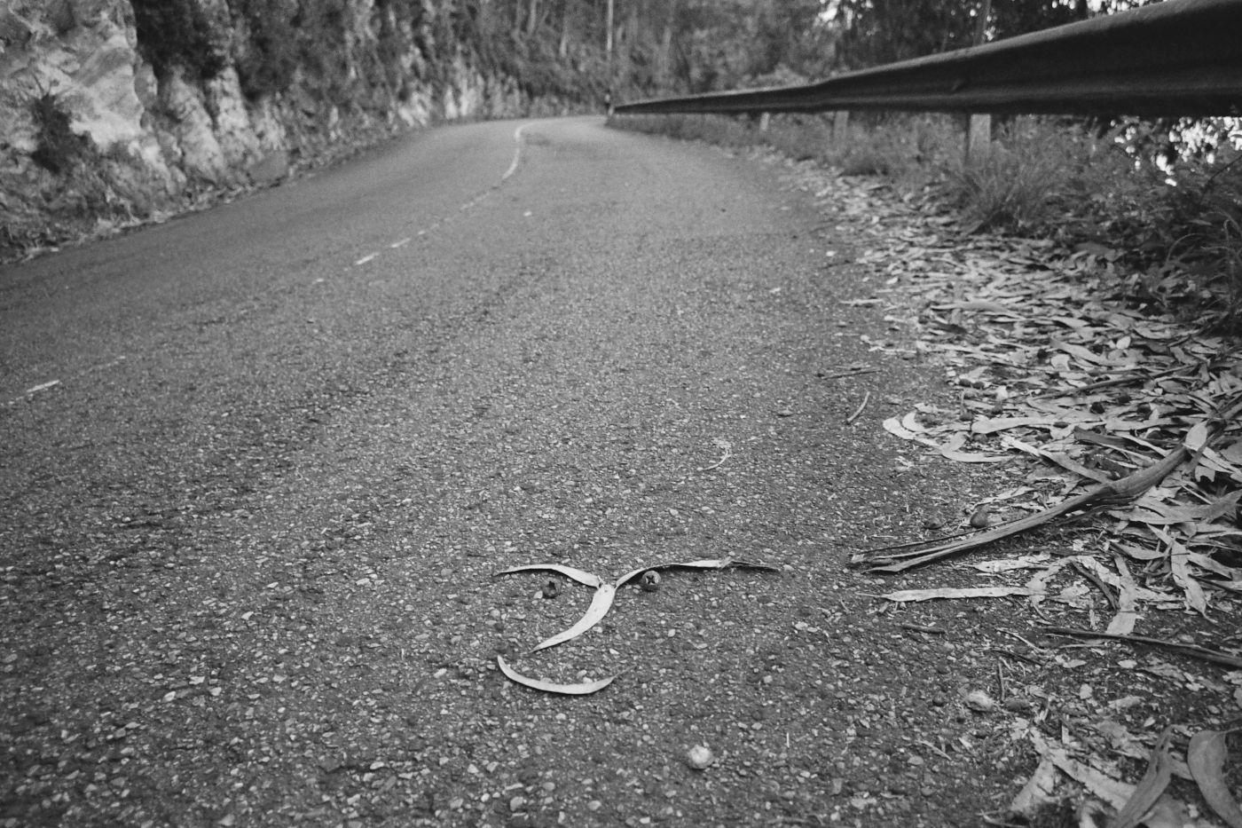 life vest photo comma