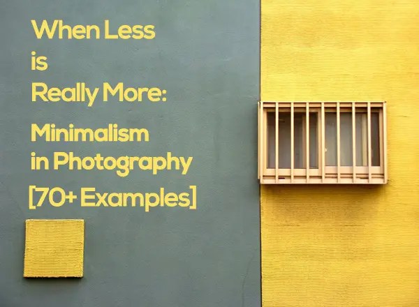 When Less is Really More Minimalism in Photography