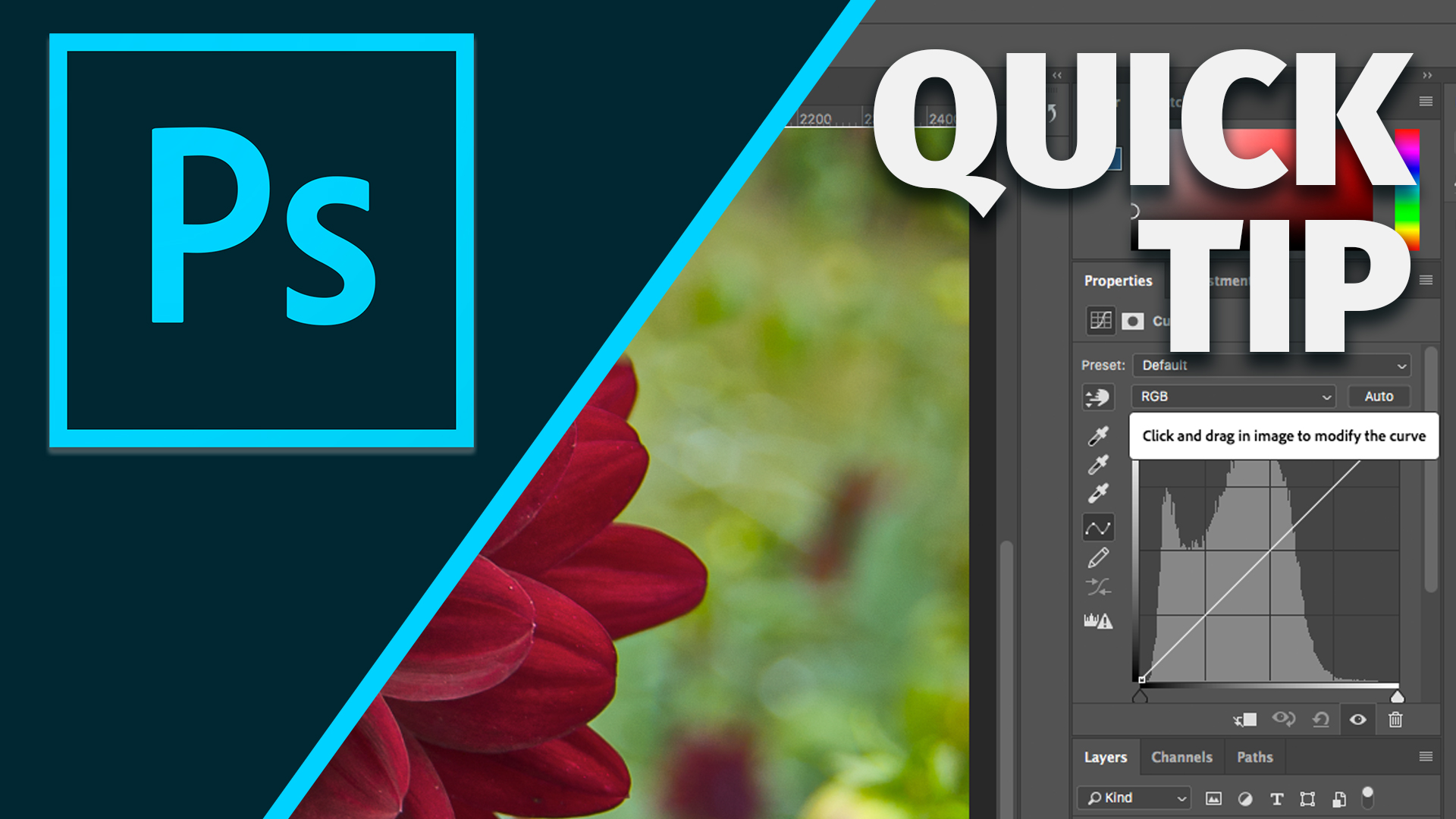 Quick Tip Curves Made Drop Dead Easy Photofocus