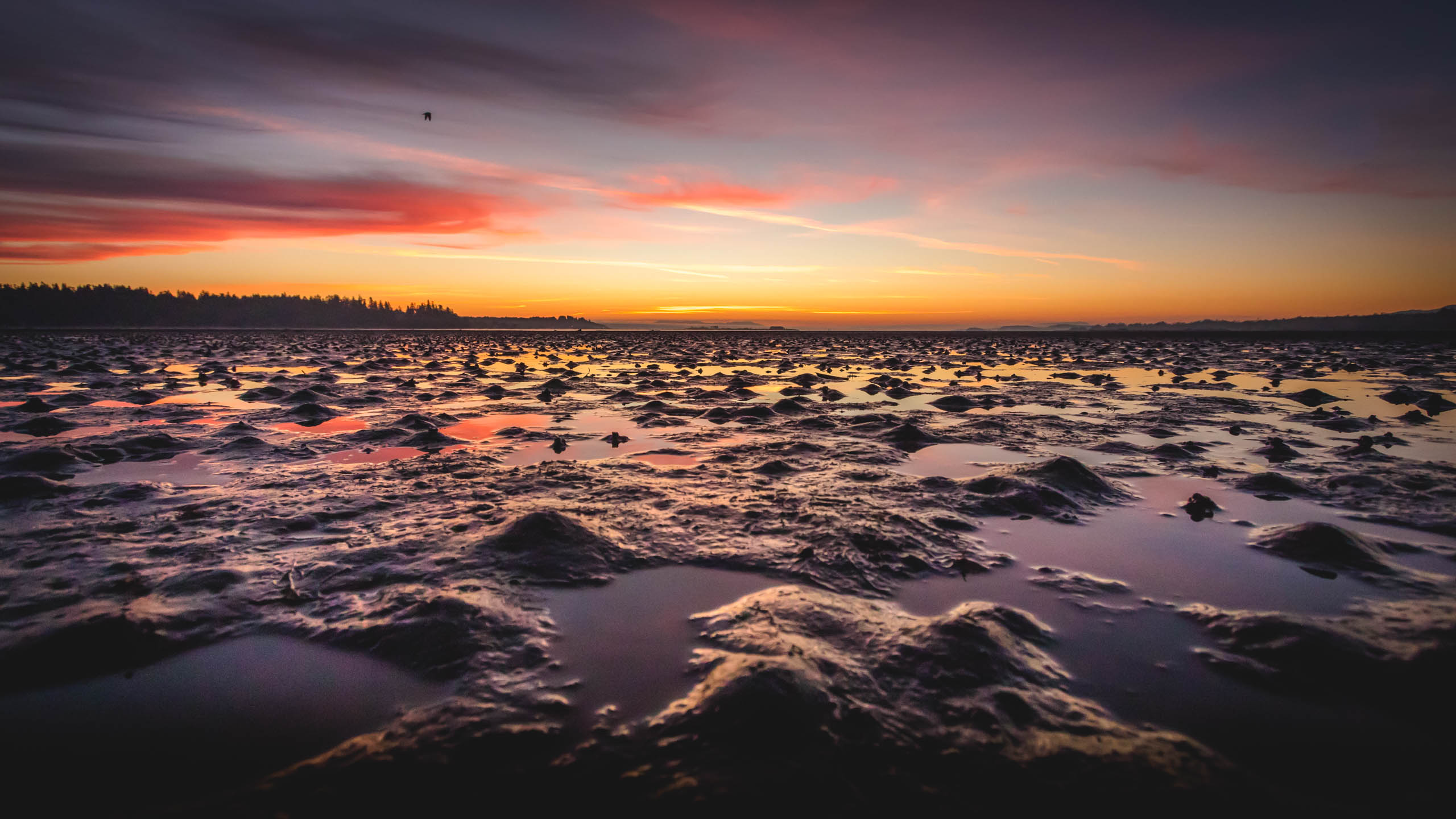 Three reasons to photograph vertically in landscape photography