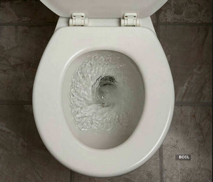 Swiss government is quite serious when it comes to flushing the toilet