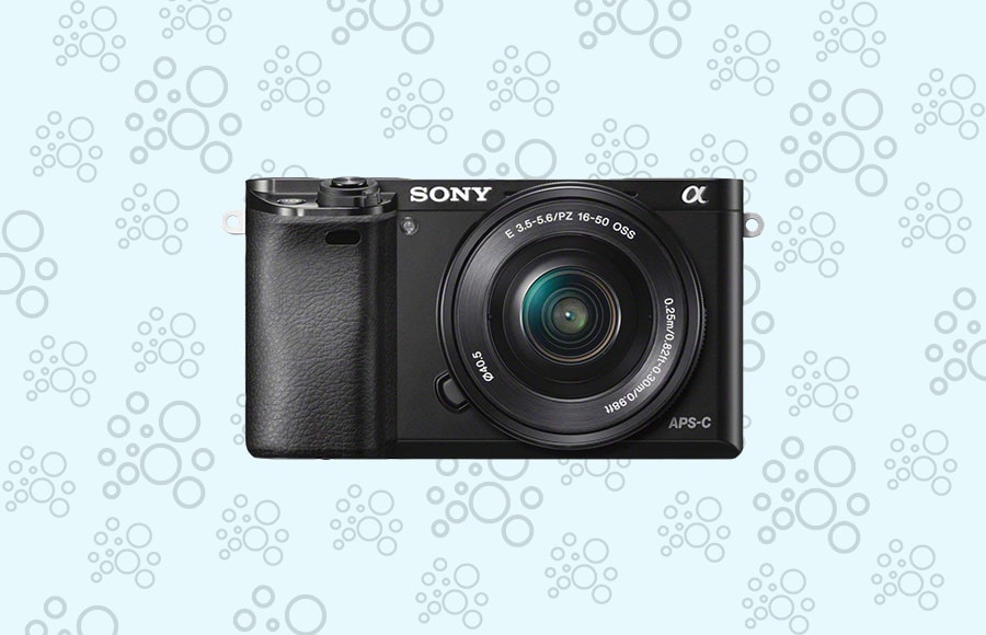 The Best Mirrorless Cameras Under 1000 in 2022