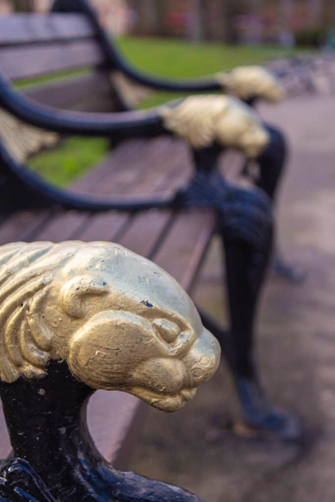 What is the exposure triangle? Shallow depth of field. Park bench.