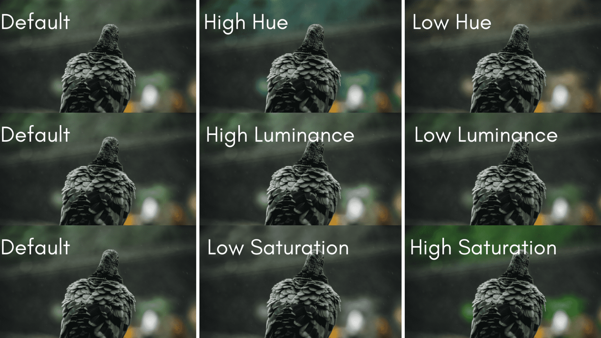 Simplest Way To Learn HSL Panel In A Lightroom With Examples