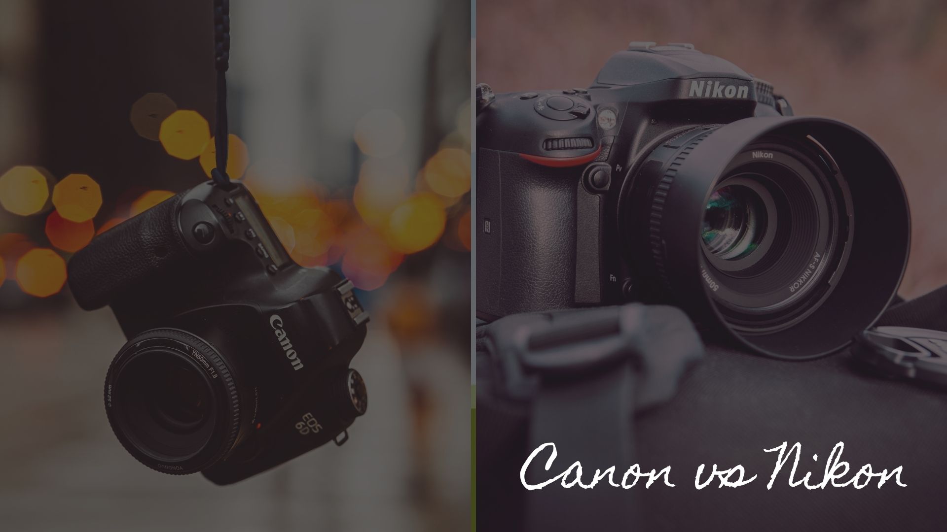 Canon vs Nikon Indepth Comparison Get Better In 2023