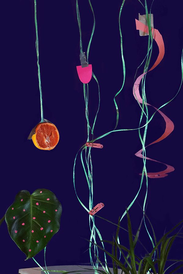 Eva Nicoletti / Photonic Editions II Društvo Photon